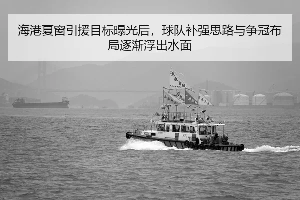 海港夏窗引援目标曝光后，球队补强思路与争冠布局逐渐浮出水面
